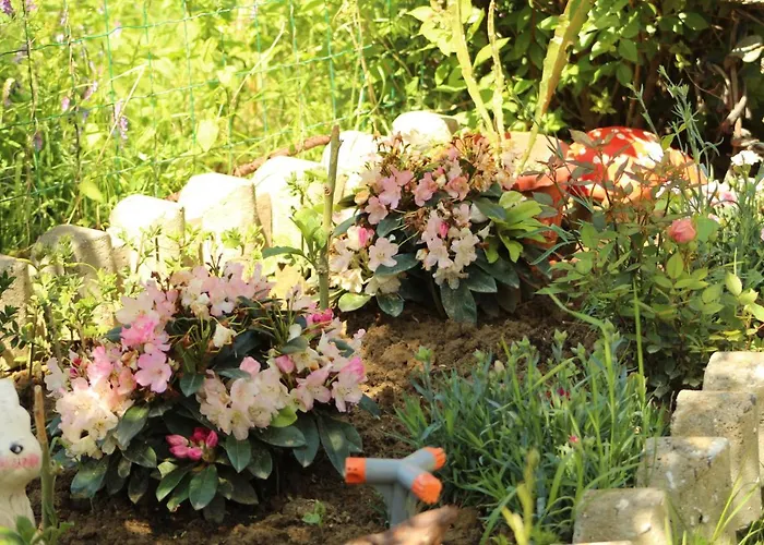 Guest house Bordo 2*