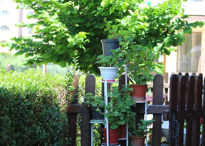 Bordo Guest house 2*