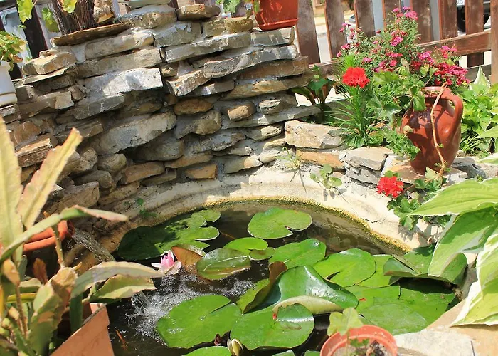 Guest house Bordo 2*