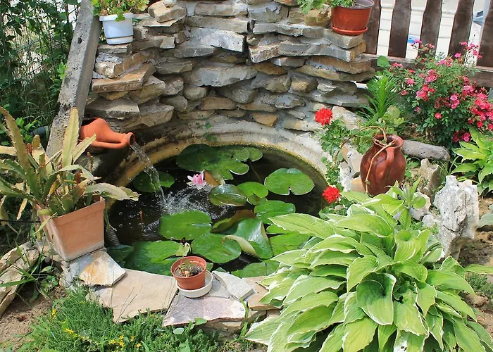 Bordo Guest house 2*